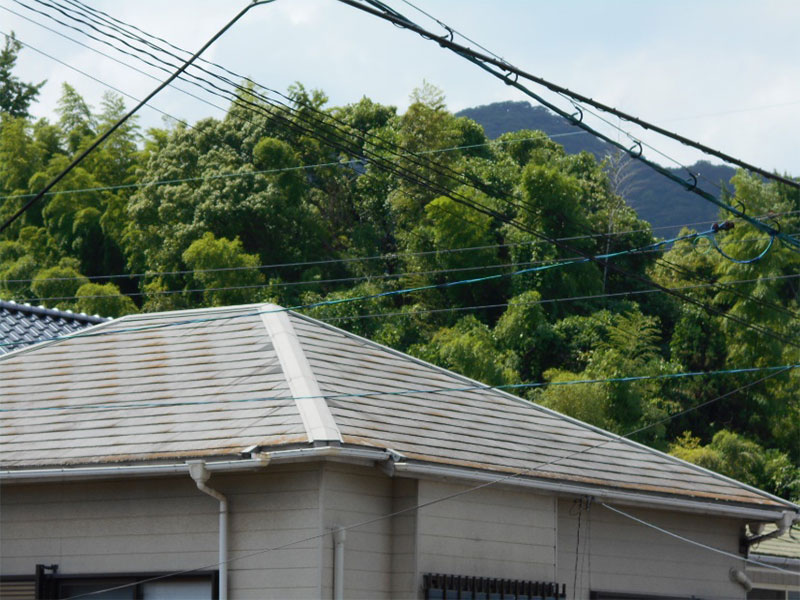 屋根瓦葺き替え&塗装工事