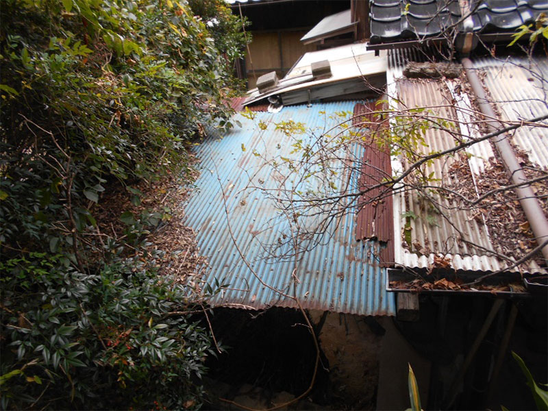 東面の屋根！！<波トタンが張られています >